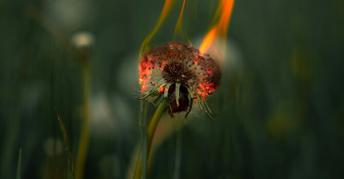 What Emotional Burnout Really Looks Like (And Why Most People Miss It)