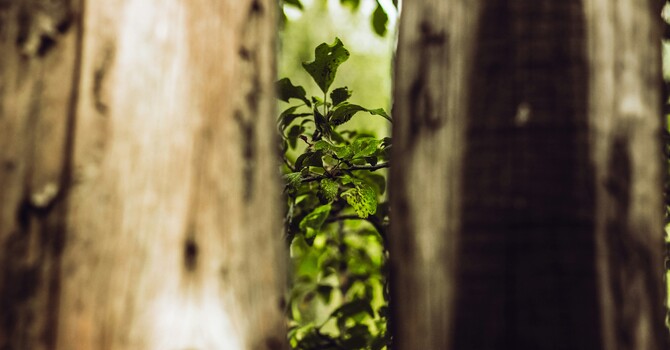 Why You Second Guess Yourself and Feel Drained Around Certain People