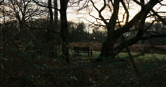 You’re Not Responsible for Everyone. So Why Does It Feel Like You Are?